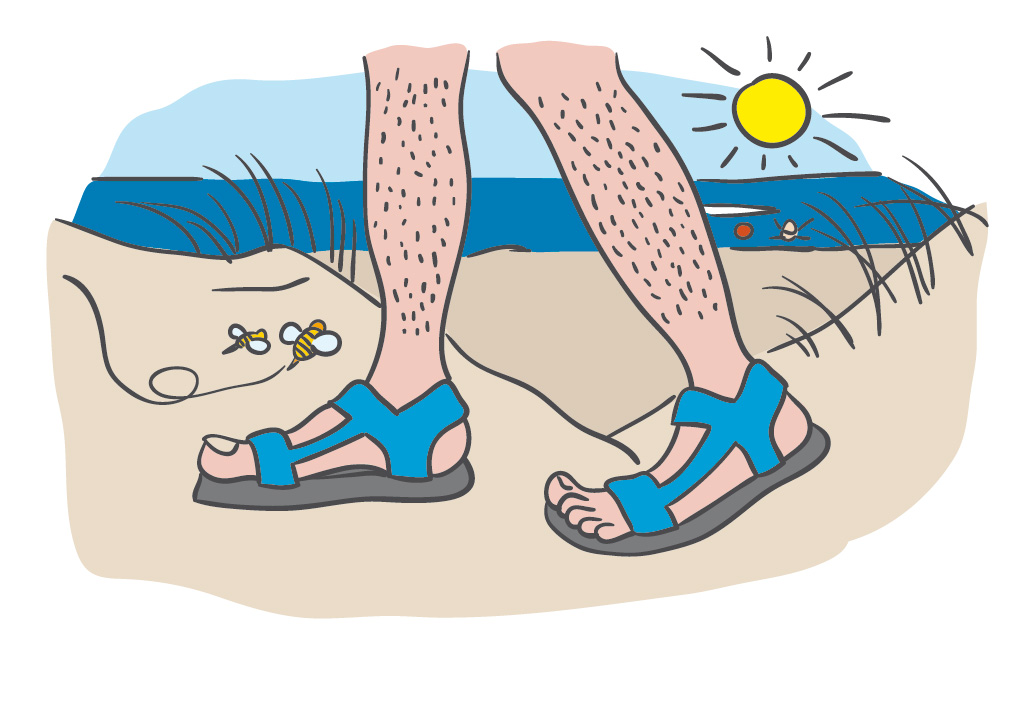 aarstidsrap_vers4_sommer